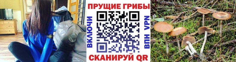 продажа наркотиков Стародуб Галлюциногенные грибы мухоморы