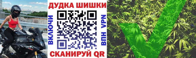 купить наркоту  Стародуб  МАРИХУАНА план 